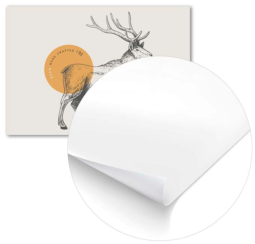 Deer Drawing - @manuelramos