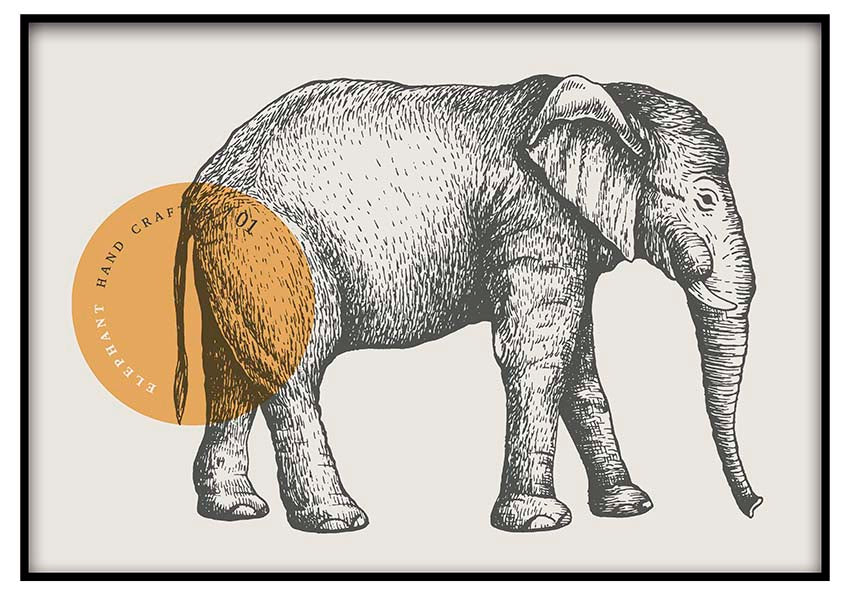 Elephant Drawing - @manuelramos