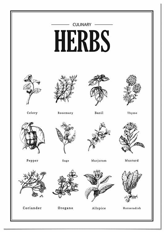 Herbs - @germanvalle