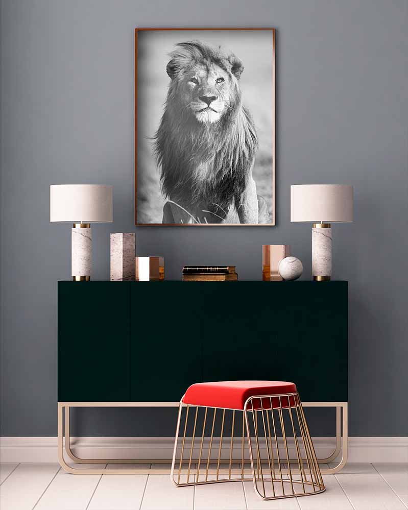 African Lion - @manuelramos