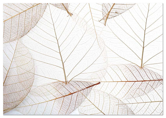 Light Leaves - @germanvalle