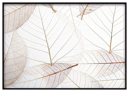 Light Leaves - @germanvalle