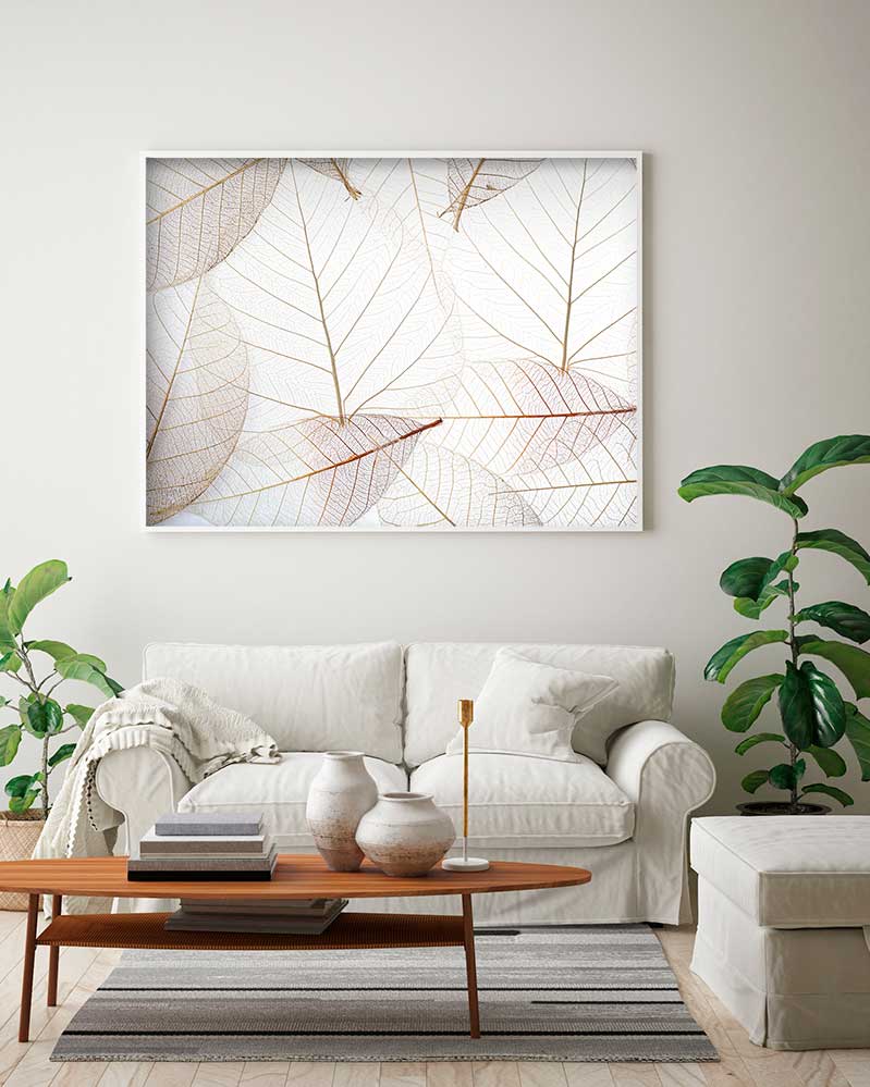 Light Leaves - @germanvalle