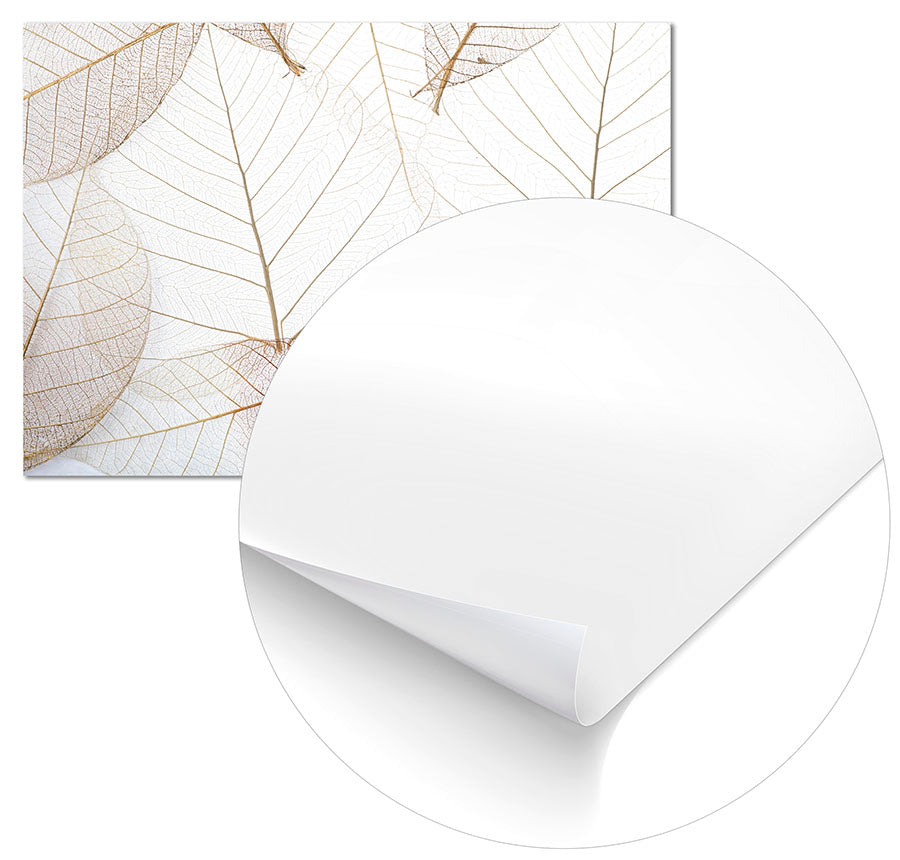 Light Leaves - @germanvalle