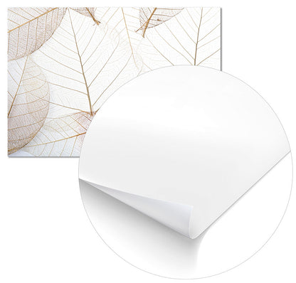 Light Leaves - @germanvalle