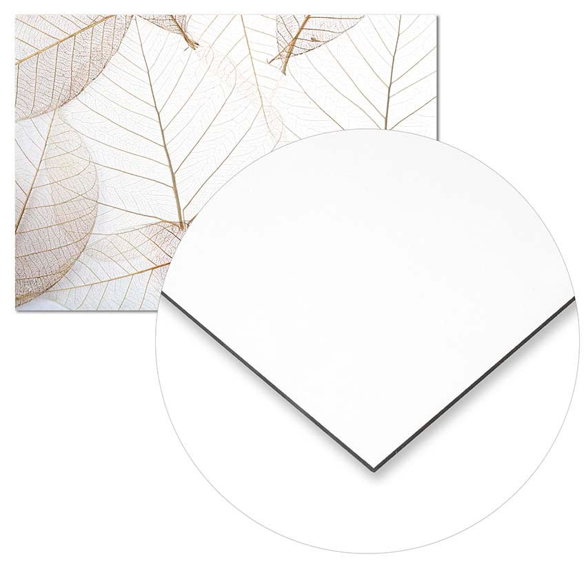 Light Leaves - @germanvalle