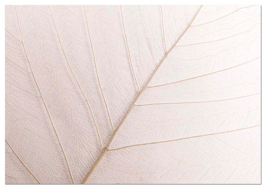 Neutral Sheet - @germanvalle