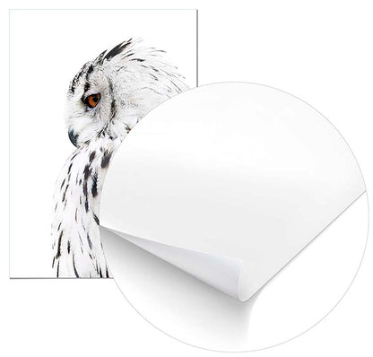 Owl Left Profile - @manuelramos