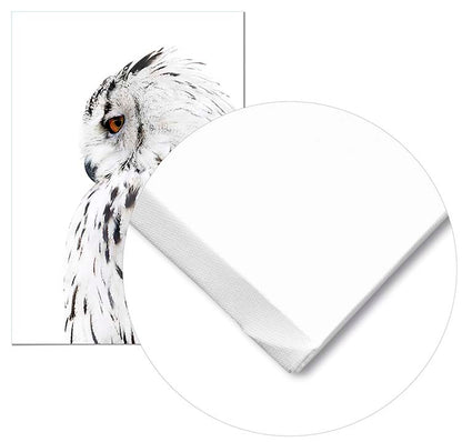 Owl Left Profile - @manuelramos